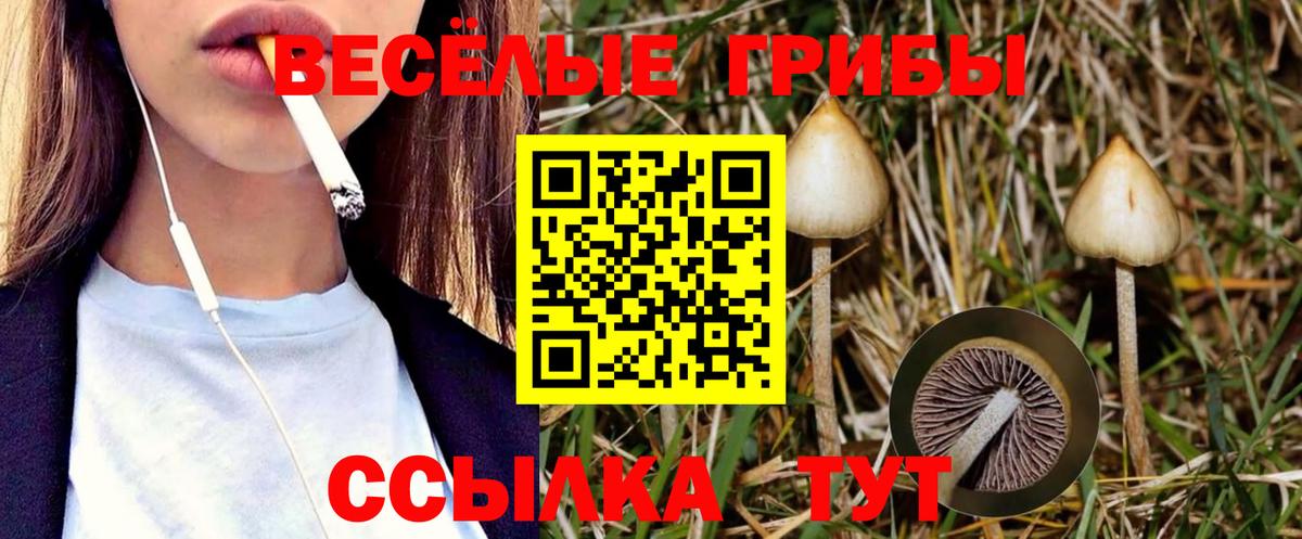 Галлюциногенные грибы прущие грибы  Псилоцибиновые грибы ЛСД  наркошоп  Баксан  Вход с VPN 