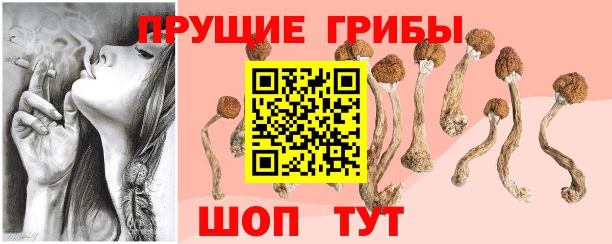 Псилоцибиновые грибы MAGIC MUSHROOMS Баксан